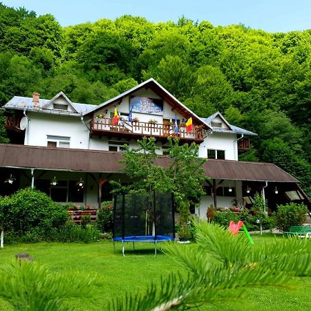 Pensiunea Valea Negrasului Traisteni Ngoại thất bức ảnh