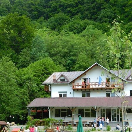 Pensiunea Valea Negrasului Traisteni Ngoại thất bức ảnh