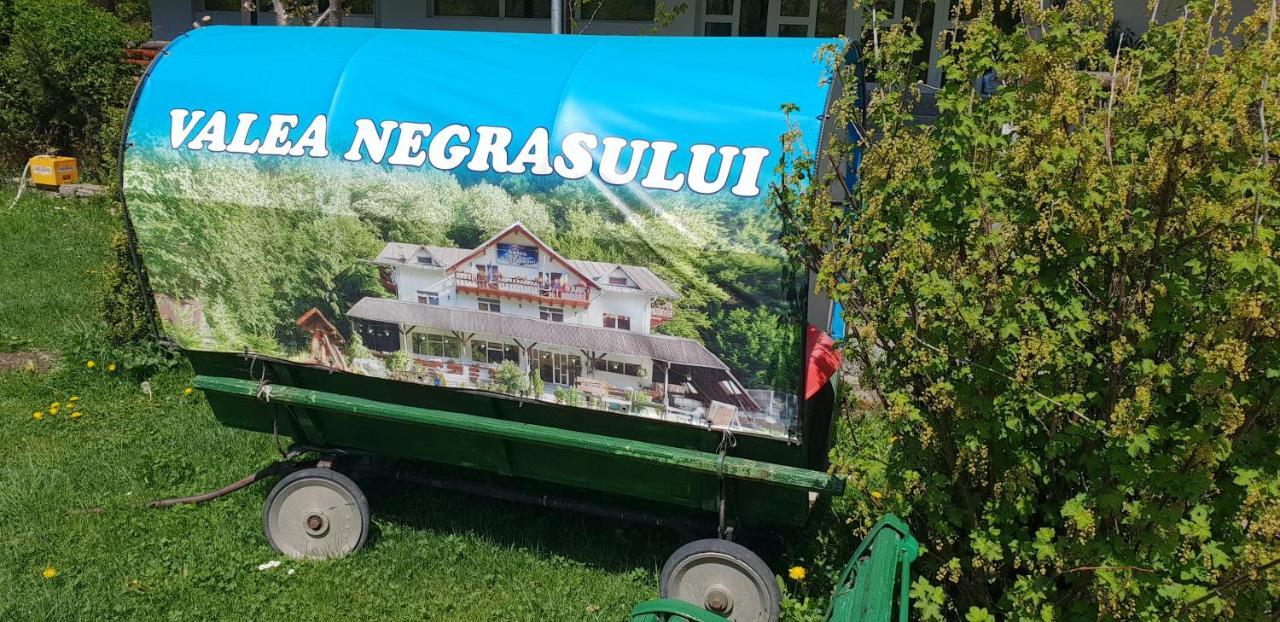 Pensiunea Valea Negrasului Traisteni Ngoại thất bức ảnh