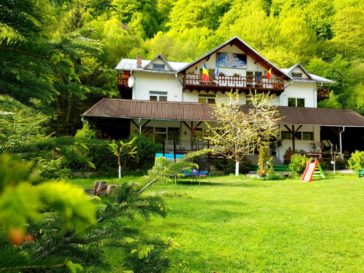 Pensiunea Valea Negrasului Traisteni Ngoại thất bức ảnh